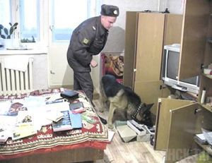 Две бездомные девушки обчистили квартиру в Бежице