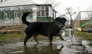 Половодье в России продлится до августа Половодье в России продлится до августа
