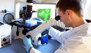 Выявлены 74 предпосылки развития рака Выявлены 74 предпосылки развития рака