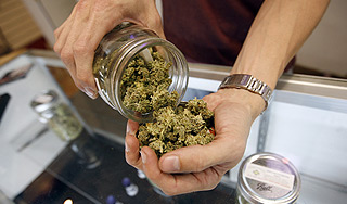 В Чехии аптеки начали продажу марихуаны В Чехии аптеки начали продажу марихуаны