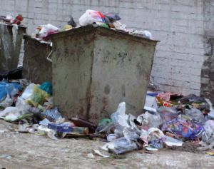 На борьбу с мусором выделили только 150 миллионов рублей