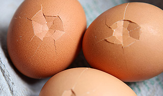 Студент разбил головой 142 яйца за минуту Студент разбил головой 142 яйца за минуту