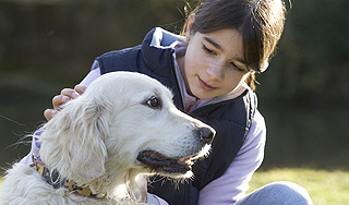 В России могут ввести налог на собак В России могут ввести налог на собак