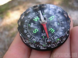 Брянские спортсмены покажут себя в Курской области