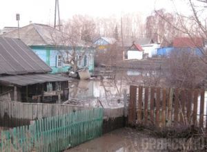 В Брянской области затопило почти 500 приусадебных участков