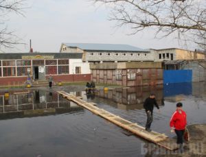 Из-за паводка в Брянской области объявлен режим ЧС