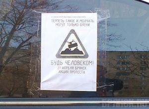 Жуткое состояние дорог Брянска заставило горожан выйти на митинг