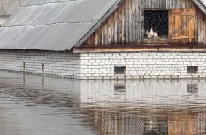 В Радице-Крыловке организованы дополнительные остановки электропоездов