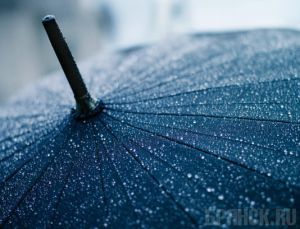 Три дня в Брянской области будут идти дожди, местами гроза