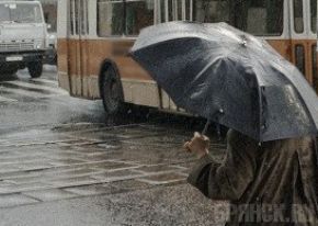 В Брянской области вновь ожидаются дожди и гроза