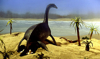 Установлено время заселения динозавров Установлено время заселения динозавров