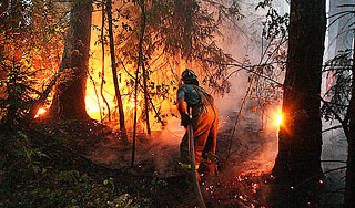 В Сибири и на Дальнем Востоке горит тайга В Сибири и на Дальнем Востоке горит тайга