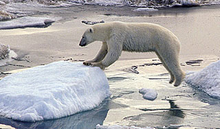 Арктика тает рекордными темпами Арктика тает рекордными темпами