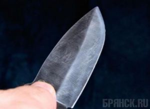 Житель Брянска зарезал кухонным ножом родного брата