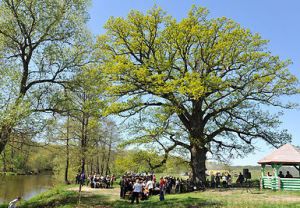 Ветераны встретились с молодежью возле Партизанского дуба