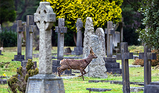 Березовского похоронили по русскому обычаю Березовского похоронили по русскому обычаю