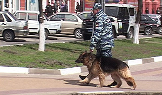 Сбежавшего из СИЗО помог задержать пес Сбежавшего из СИЗО помог задержать пес