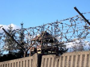 Ограбивший старика мужчина отправился в колонию