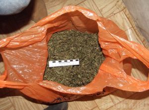 Бывший страж порядка открыл в Брянске нарколабораторию