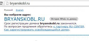 Правительство Брянской области прошляпило домен
