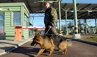 Россия введет приглашения для иммигрантов Россия введет приглашения для иммигрантов