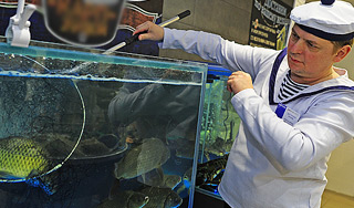 Голый украинец искупался в аквариуме Голый украинец искупался в аквариуме