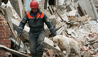 Мужчину засыпало удобрениями под Москвой Мужчину засыпало удобрениями под Москвой