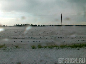 В Погаре град уничтожил сельскохозяйственные посевы