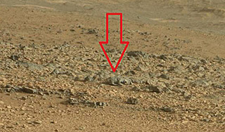 Японец нашел на Марсе ящерицу Японец нашел на Марсе ящерицу