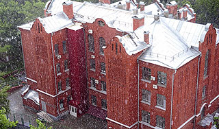 В Москве выпал град размером с горошину В Москве выпал град размером с горошину