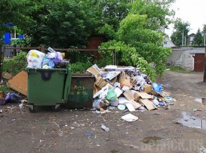 Вину за мусор в Брянске свалили на работников магазинов