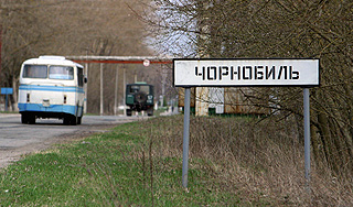 В Чернобыле хотят добывать древесину В Чернобыле хотят добывать древесину