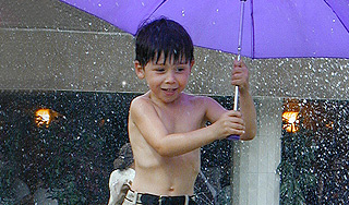 Москва превратится в тропики на выходных Москва превратится в тропики на выходных