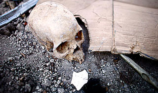 Под Ульяновском нашли останки людей Под Ульяновском нашли останки людей