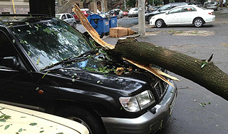 Ураган в Одессе валил деревья и столбы ЛЭП Ураган в Одессе валил деревья и столбы ЛЭП