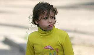 Клещи атаковали детский лагерь в Забайкалье Клещи атаковали детский лагерь в Забайкалье