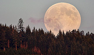 Земляне увидят "Супер Луну" Земляне увидят "Супер Луну"