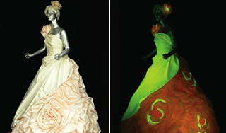 Ученые создали светящийся в темноте шелк Ученые создали светящийся в темноте шелк