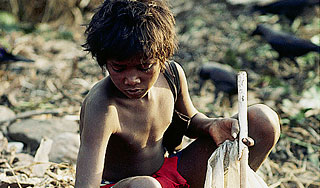 Через 40 лет на Земле обещают голод Через 40 лет на Земле обещают голод