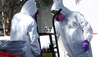 В Молдавию пришла "сибирская язва" В Молдавию пришла "сибирская язва"