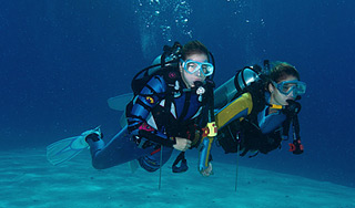 Дайверы нашли в Волге останки мамонтов Дайверы нашли в Волге останки мамонтов