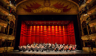 Скрипач насмерть разбился в Большом театре Скрипач насмерть разбился в Большом театре