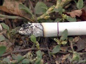 В Новозыбкове сгорел бесхозный объект