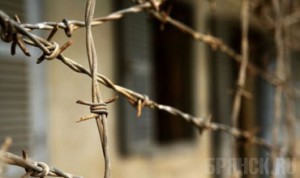 Украл, выпил, в тюрьму.