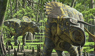 Американцы открыли новый вид динозавра Американцы открыли новый вид динозавра