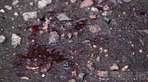 На автодороге «Брянск - Дятьково» погибли два человека