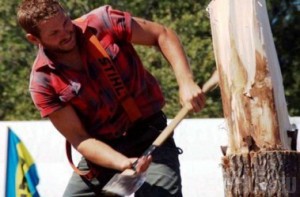 Условный срок за незаконную рубку деревьев