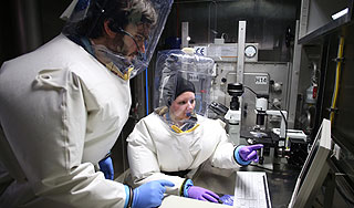 Вирусы создали новую жизнь Вирусы создали новую жизнь