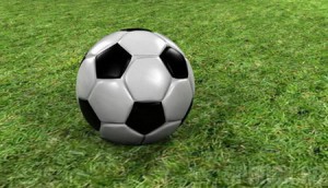 Брянское «Динамо» сыграет с ФК «Калуга»