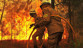 На Ямале введен режим ЧС из-за пожаров На Ямале введен режим ЧС из-за пожаров